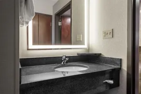 Drury Plaza Hotel New Orleans - Salle de bain