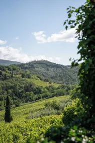 Soleevino B&B - Exclusively for Adults - View from room