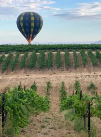 Domaine Chardonnay - Vue de la chambre
