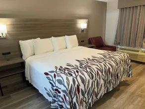 Red Roof Inn Orangeburg - Zimmer