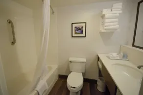 Hampton Inn Salem East - Electric Road - Salle de bain