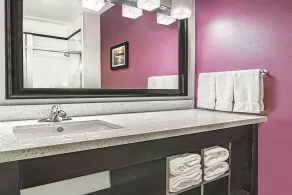 La Quinta by Wyndham Dallas Grand Prairie North - Chambre