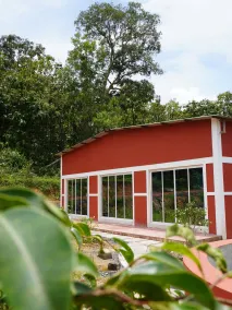 Ashoka jungle river resort - Room