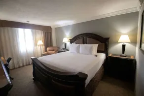 Wyndham Houston at Reliant Park & Medical Center - Room
