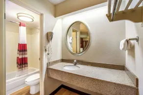 Red Roof Inn Detroit - Plymouth/Canton - Bathroom