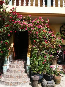 Hostal Curiñan - Interior entrance
