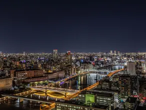 APA Hotel & Resort Ryogoku Ekimae Tower - Vue de la chambre