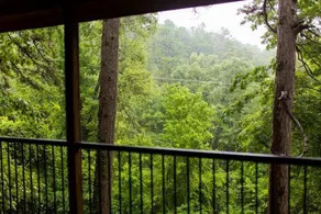 The Razorback Lodge - Vue de la chambre