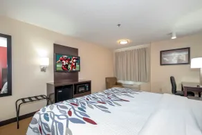 Red Roof Inn Raleigh Southwest - Cary - Room
