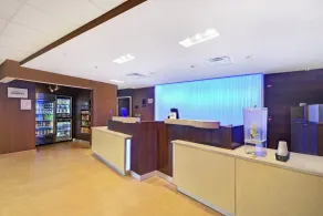 Fairfield Inn & Suites by Marriott Savannah SW/Richmond Hill - Réception