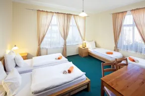 Pytloun Self Check-in Hotel Liberec - Chambre