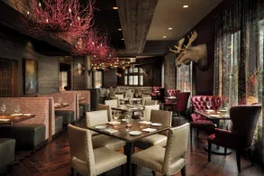 Grand Bohemian Lodge Asheville, Autograph Collection - Restaurant