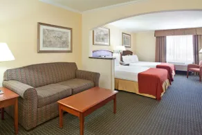 Holiday Inn Express Hotel & Suites Tucson Mall by IHG - Chambre