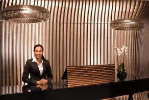 Mercure Paris CDG Aéroport & Convention - Réception