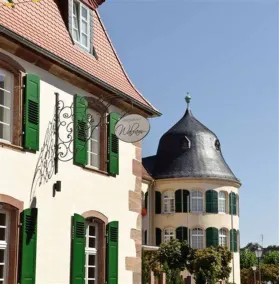 Schlosshotel Bergzaberner Hof - Reception
