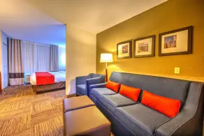 Comfort Suites Urbana Champaign, University Area - Chambre