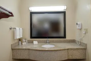 Red Roof Inn Columbus, MS - Salle de bain