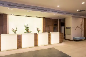 Hilton Garden Inn Tanger City Center - Réception