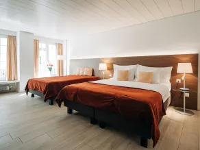 Hotel Krone Thun - Room