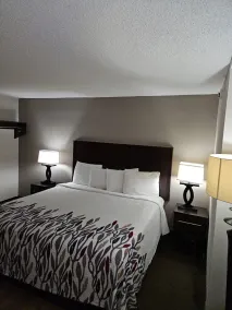 Red Roof Inn Chicago - Alsip - Habitación