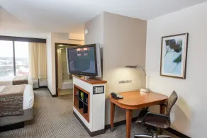 Hyatt Place Minneapolis Eden Prairie - Chambre