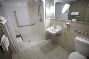 The Falls Hotel & Inn - Salle de bain