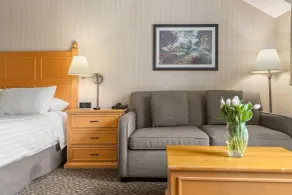 Pinnacle Hotel Whistler - Chambre