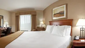 Holiday Inn Express Hotel & Suites Sheldon by IHG - Værelse