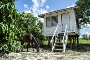 Backpackers Paradise - Room