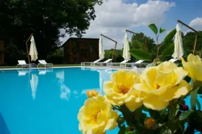 FORESTERIA DEL GAVI - Pool