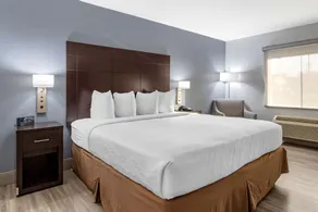 Best Western Plus Orange County - Værelse