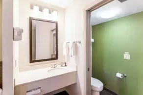 Sleep Inn at Greenville Convention Center - Salle de bain