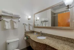 Comfort Suites Stockbridge Atlanta South - Salle de bain