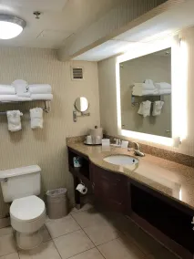 Comfort Inn Anaheim Resort - Salle de bain