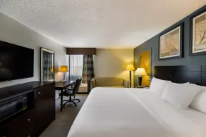 Suburban Studios San Angelo near Convention Center - Chambre