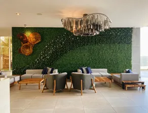 Acantilados - Reception