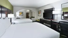 Holiday Inn Express and Suites Stroudsburg-Poconos by IHG - Chambre