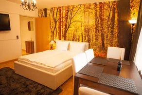 Boutique Apartment My little Black Forest - Rum
