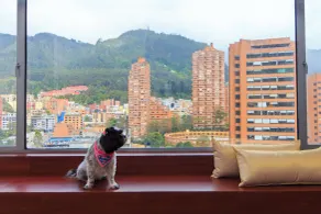 Tequendama Suites Bogota - Chambre