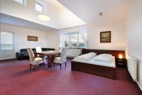 Hotel Palác - Room