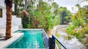 The Paica - Pool