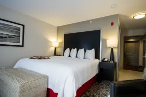 Hampton Inn & Suites DuPont - Habitación