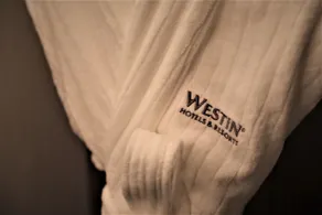The Westin Nanjing Resort & Spa - Habitación