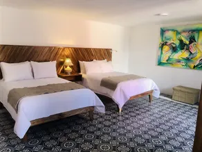 NaNa Vida Hotel Morelia - Room