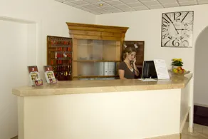 Hotel Engelhorn - Réception