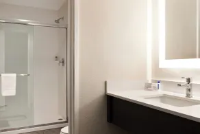 Comfort Suites Lake Geneva East - Salle de bain