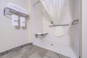 Cobblestone Hotel & Suites - Seward - Salle de bain