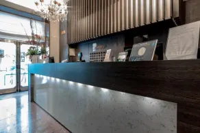 Canova Hotel - Réception