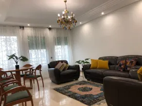 Appartement Lumineux Et Luxe - Zona de estar