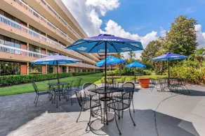 Clarion Inn Orlando International Drive - ICON Park - Pool